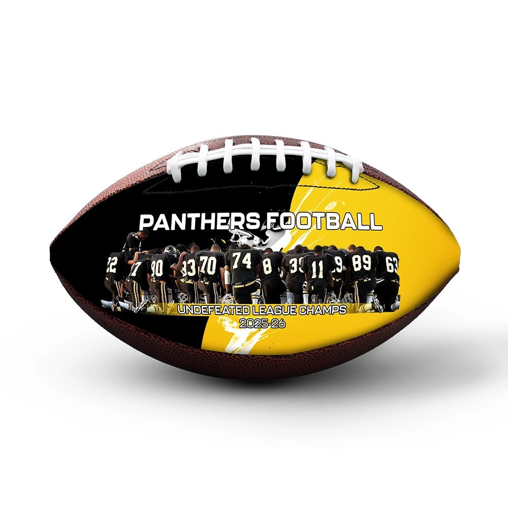 Custom championship football - 2 Panel - Wildcat
