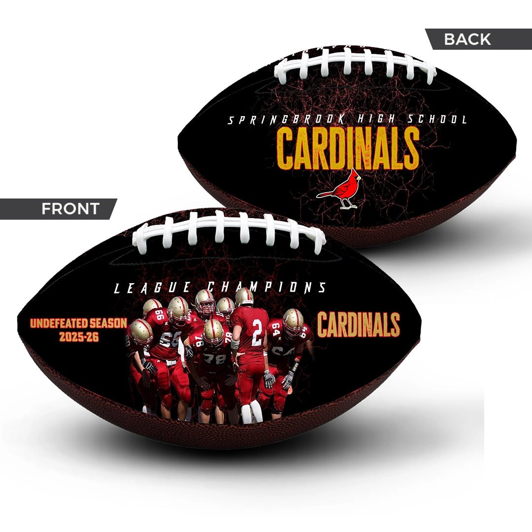 Custom 9-inch team football - 2 Panel - Record Setter