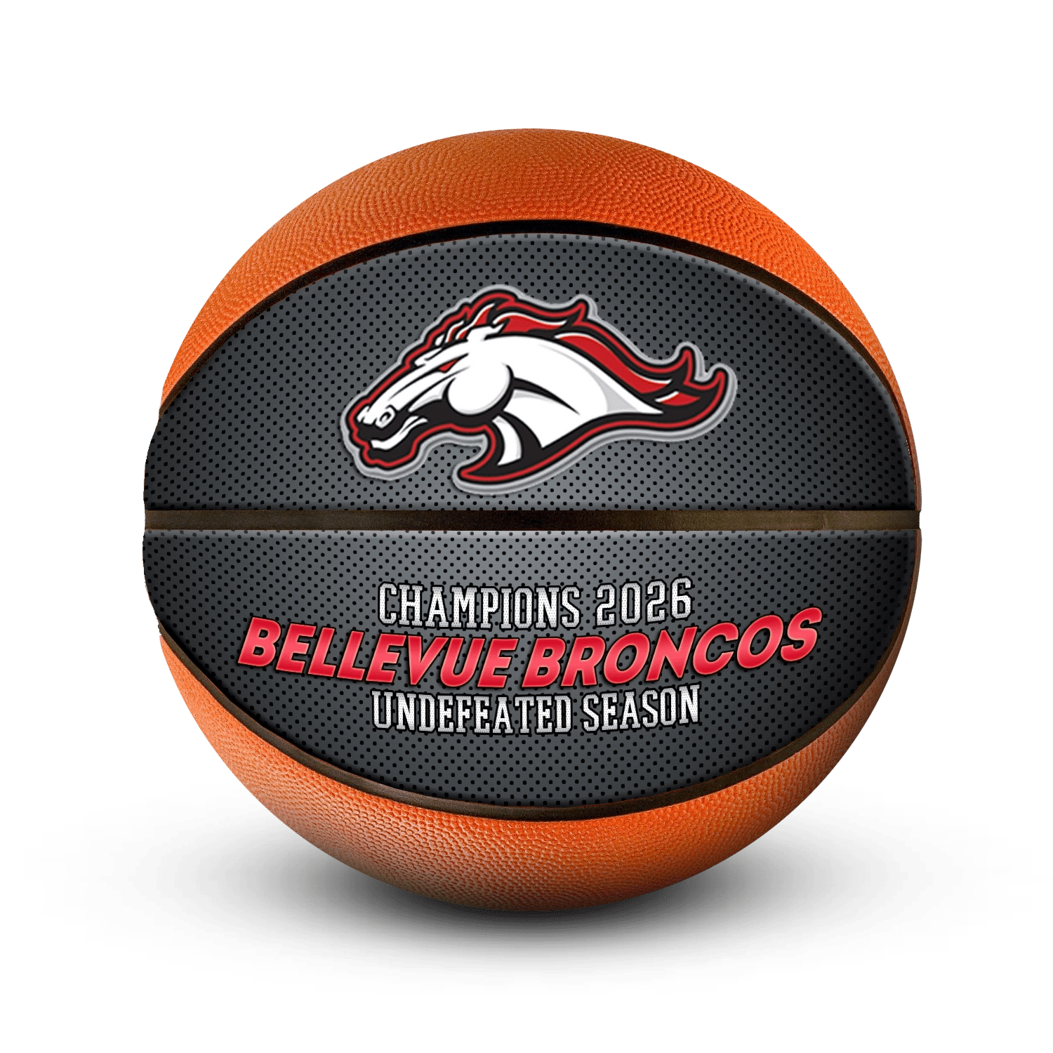 Custom logo team basketball - Horizontal - 2 Panel - Thunderstorm