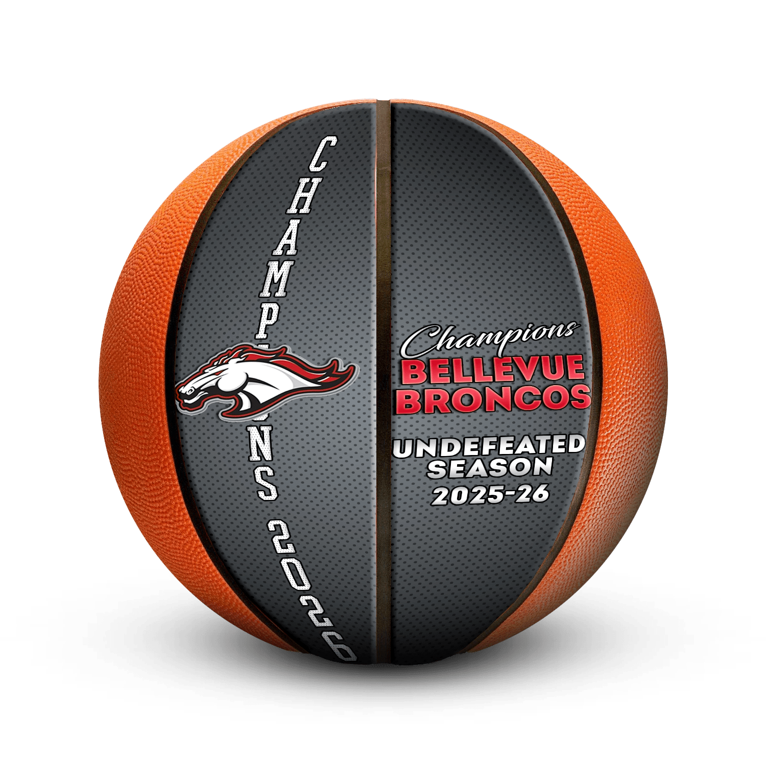 Custom logo mini basketball - Vertical - 2 Panel - Swish