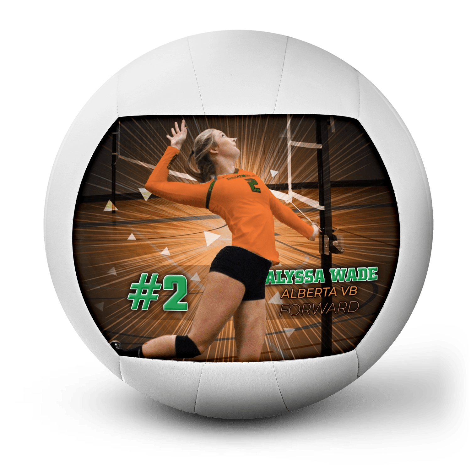 Custom player gift volleyball - 1 Panel - Earthquake