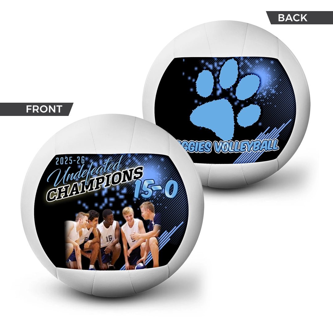 Custom team volleyball - 2 Panel - Playmaker