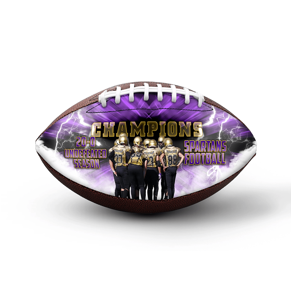 Custom championship football - 1 Panel - Wildcat