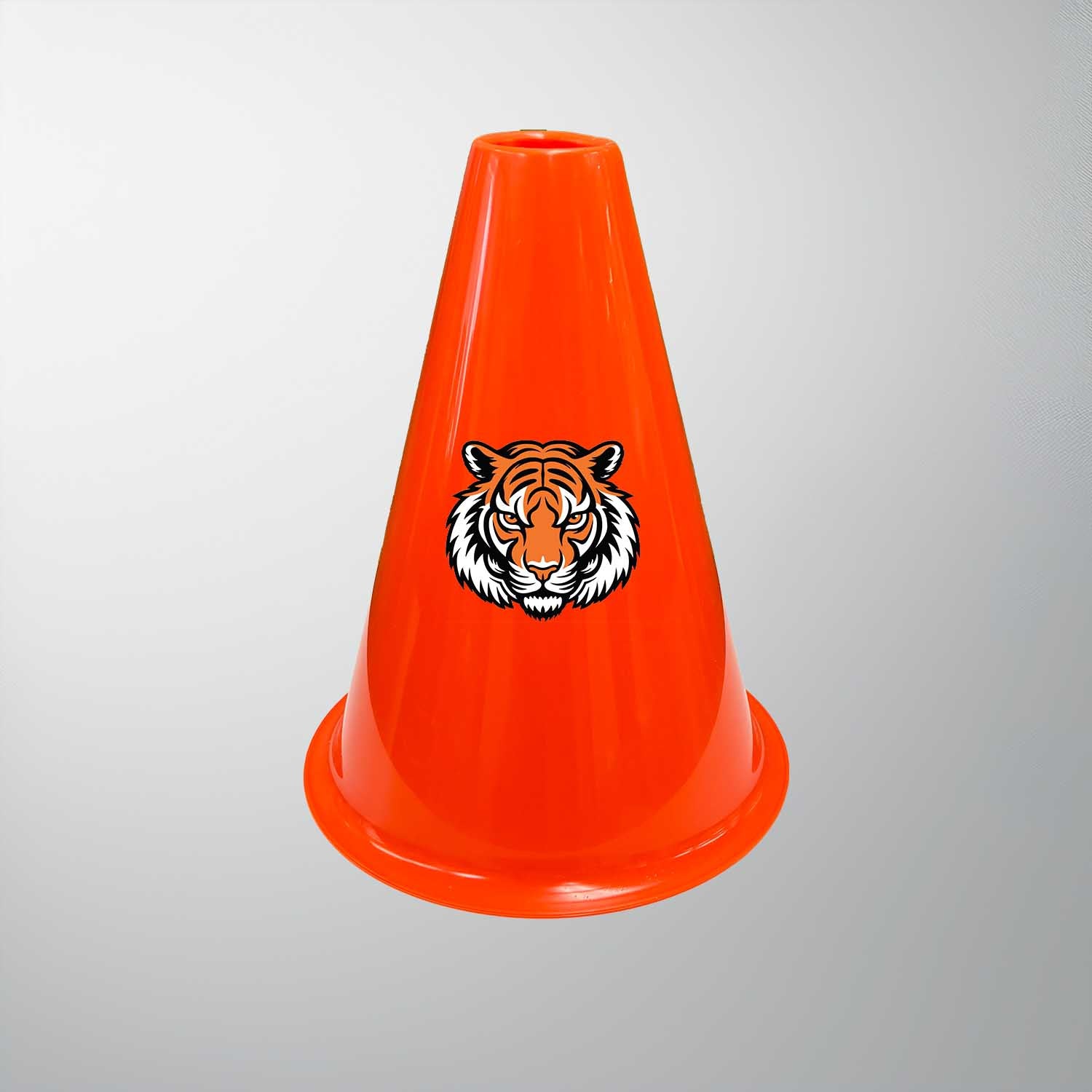 Team Mini Megaphone