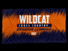 Wildcat
