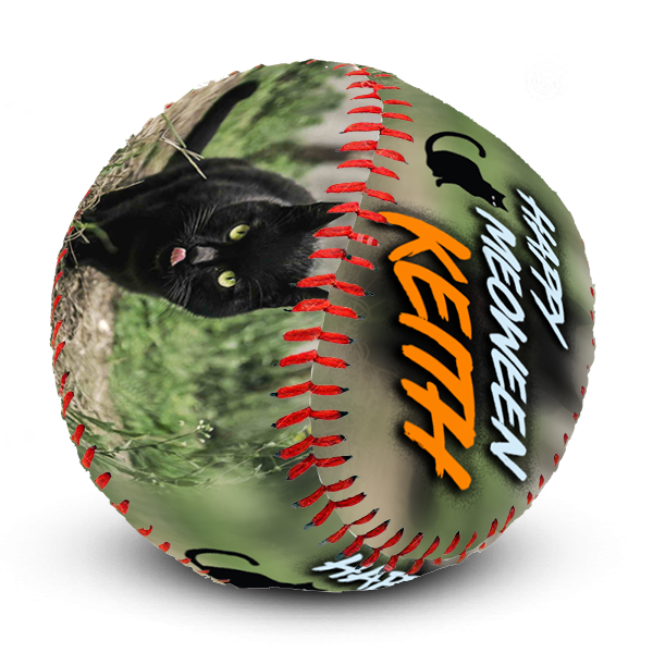 Best picture perfect personal softball create your own halloween gift ideas